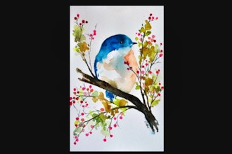 Watercolor Painting: How to Paint a Bird